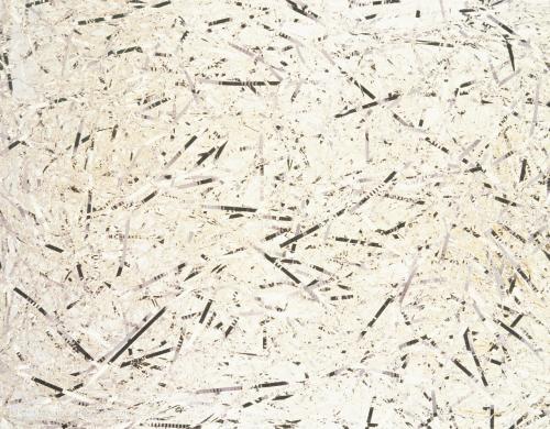 紙制品原料檢測