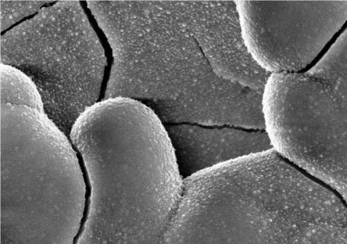 金屬材質成分及失效分析