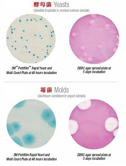 霉菌試驗(yàn)