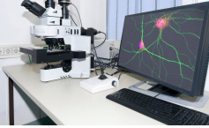 物理化學性能檢測